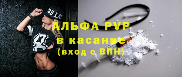 СК Алексин