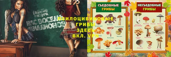 СК Алексин