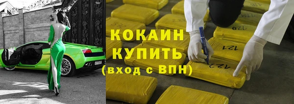 СК Алексин